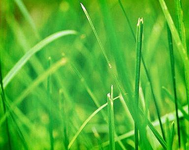 【正式版】发布的免费ddos在线攻击